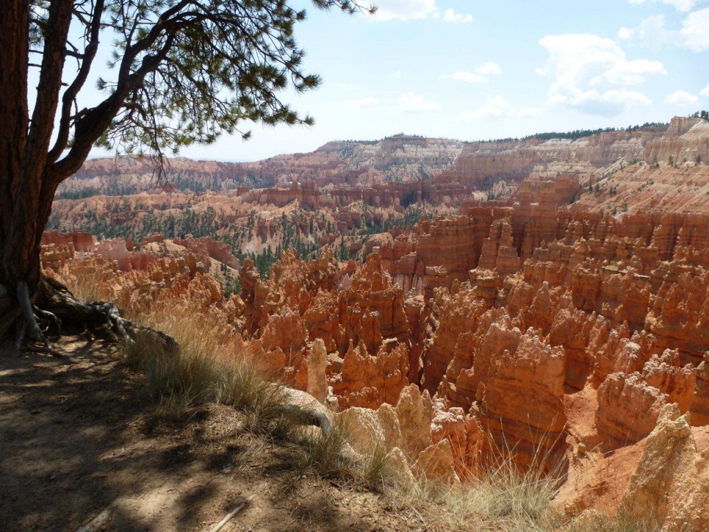 Bryce Canyon